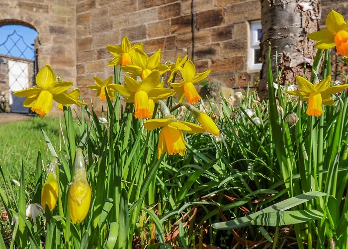 Holly Vakantiehuis *